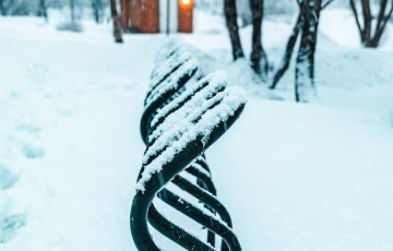 snow covered metal fence