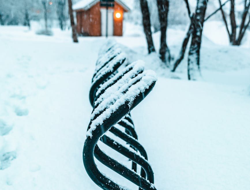 snow covered metal fence